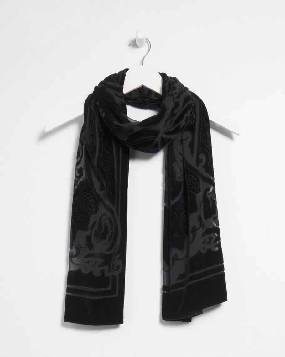 Chico's Velvet Burnout Scarf